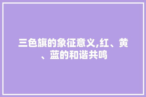 三色旗的象征意义,红、黄、蓝的和谐共鸣