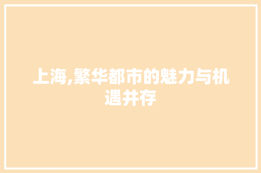 上海,繁华都市的魅力与机遇并存