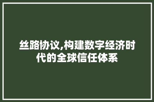 丝路协议,构建数字经济时代的全球信任体系