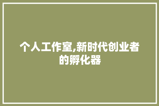 个人工作室,新时代创业者的孵化器