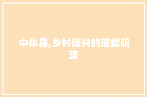 中牟县,乡村振兴的璀璨明珠
