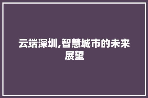 云端深圳,智慧城市的未来展望
