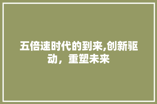 五倍速时代的到来,创新驱动，重塑未来 GoogleSEO