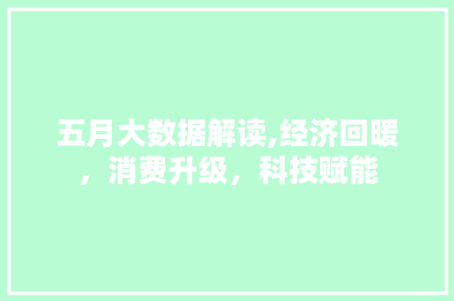 五月大数据解读,经济回暖，消费升级，科技赋能