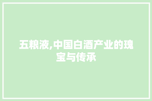 五粮液,中国白酒产业的瑰宝与传承