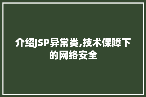 介绍JSP异常类,技术保障下的网络安全 百度SEO