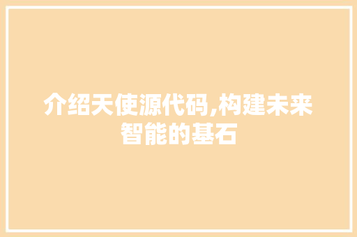 介绍天使源代码,构建未来智能的基石