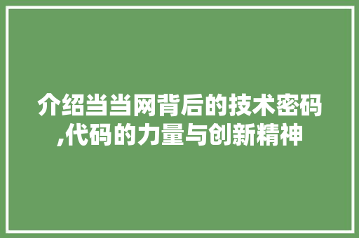 介绍当当网背后的技术密码,代码的力量与创新精神 神马SEO