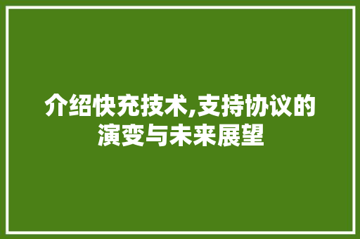 介绍快充技术,支持协议的演变与未来展望