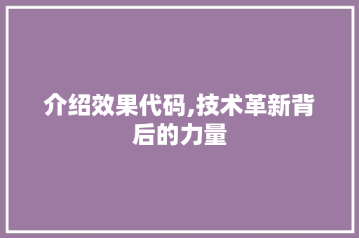 介绍效果代码,技术革新背后的力量 GoogleSEO