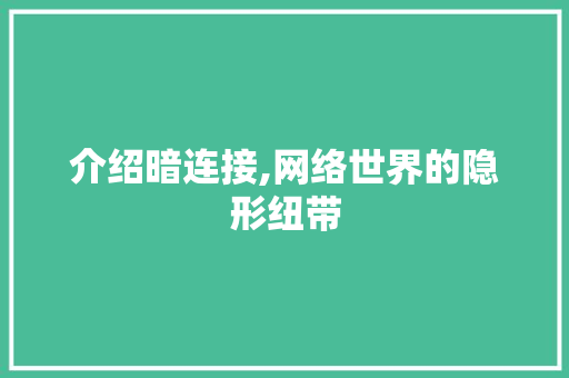 介绍暗连接,网络世界的隐形纽带 GoogleSEO
