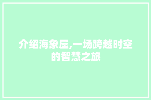 介绍海象屋,一场跨越时空的智慧之旅 百度SEO