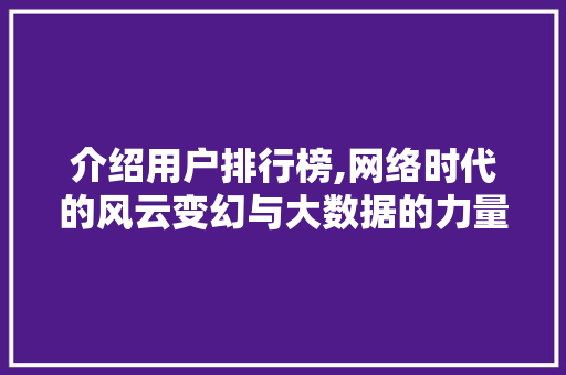 介绍用户排行榜,网络时代的风云变幻与大数据的力量 神马SEO