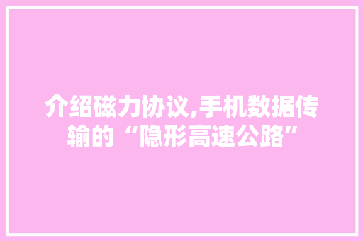 介绍磁力协议,手机数据传输的“隐形高速公路”