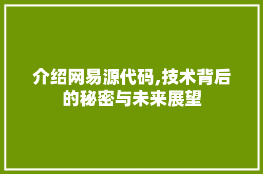 介绍网易源代码,技术背后的秘密与未来展望