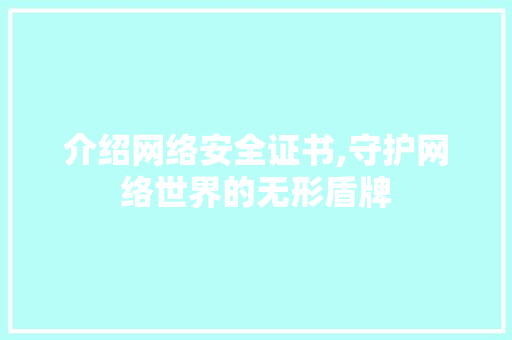 介绍网络安全证书,守护网络世界的无形盾牌