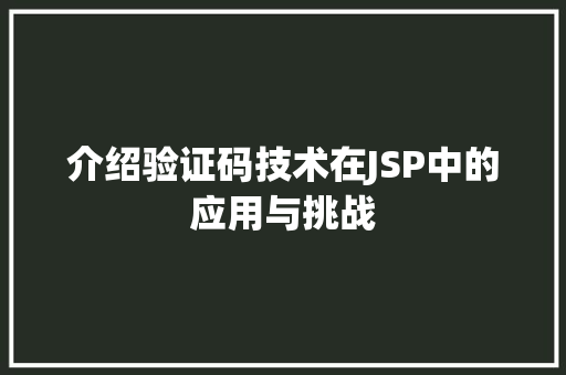 介绍验证码技术在JSP中的应用与挑战 必应SEO