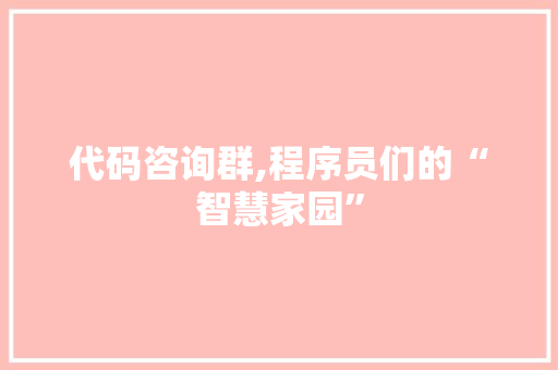 代码咨询群,程序员们的“智慧家园” 必应SEO