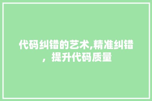 代码纠错的艺术,精准纠错，提升代码质量 百度SEO