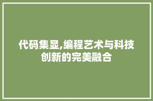 代码集显,编程艺术与科技创新的完美融合 百度SEO
