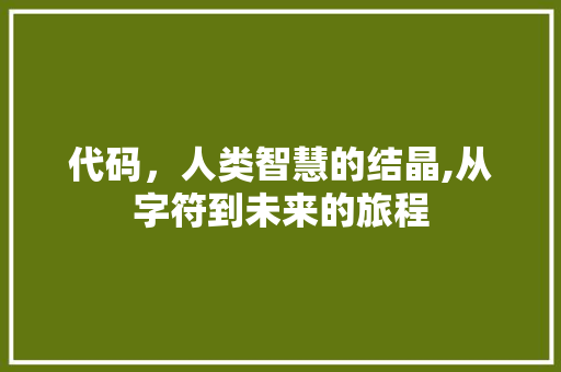 代码，人类智慧的结晶,从字符到未来的旅程 GoogleSEO
