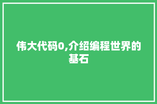 伟大代码0,介绍编程世界的基石 搜狗SEO