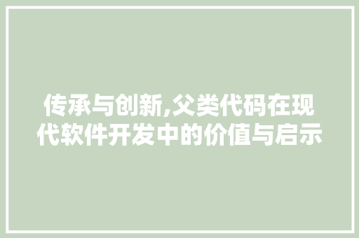 传承与创新,父类代码在现代软件开发中的价值与启示 GoogleSEO
