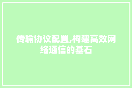 传输协议配置,构建高效网络通信的基石 搜狗SEO
