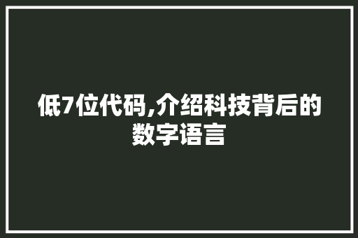 低7位代码,介绍科技背后的数字语言 必应SEO