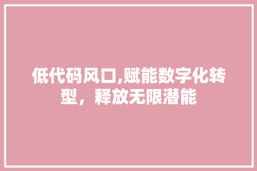低代码风口,赋能数字化转型，释放无限潜能 必应SEO
