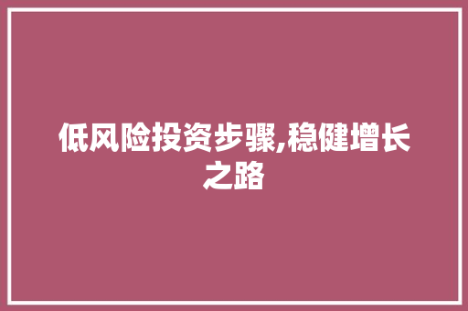 低风险投资步骤,稳健增长之路