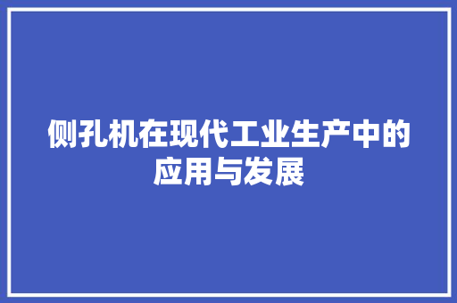 侧孔机在现代工业生产中的应用与发展 GoogleSEO