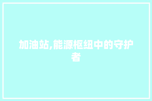 加油站,能源枢纽中的守护者 必应SEO