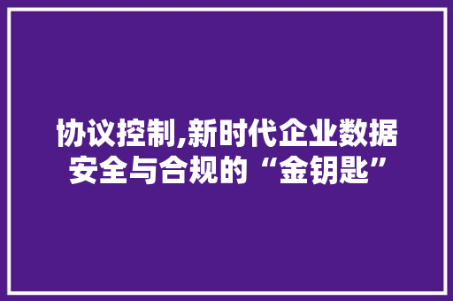 协议控制,新时代企业数据安全与合规的“金钥匙”