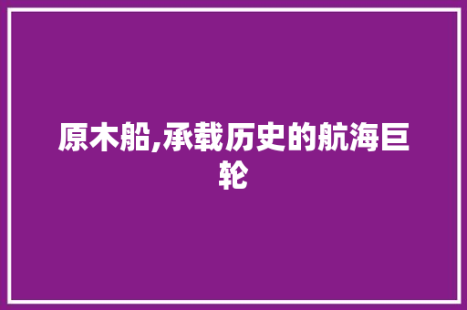 原木船,承载历史的航海巨轮
