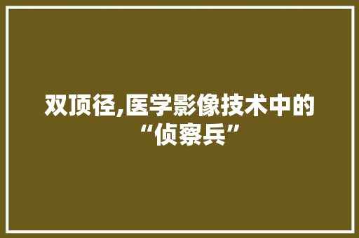 双顶径,医学影像技术中的“侦察兵”