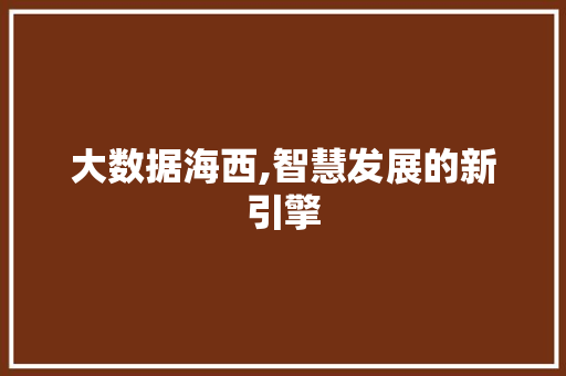 大数据海西,智慧发展的新引擎 搜狗SEO