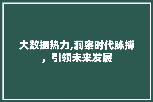 大数据热力,洞察时代脉搏，引领未来发展