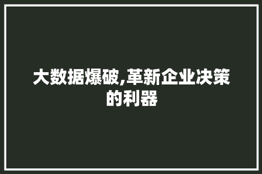 大数据爆破,革新企业决策的利器 必应SEO