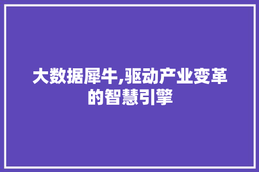 大数据犀牛,驱动产业变革的智慧引擎 神马SEO