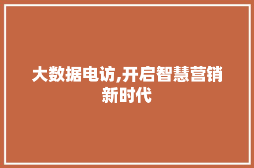 大数据电访,开启智慧营销新时代