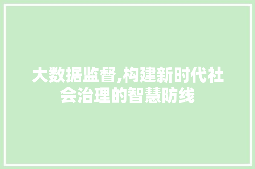 大数据监督,构建新时代社会治理的智慧防线 GoogleSEO