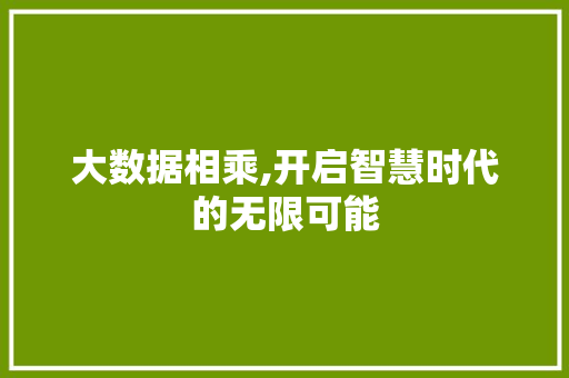 大数据相乘,开启智慧时代的无限可能 GoogleSEO