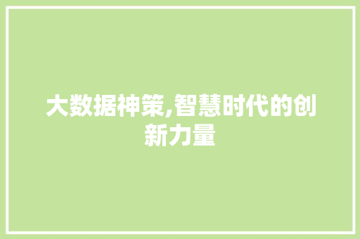大数据神策,智慧时代的创新力量 搜狗SEO