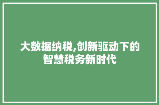 大数据纳税,创新驱动下的智慧税务新时代 神马SEO