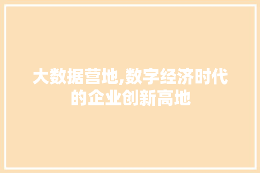大数据营地,数字经济时代的企业创新高地
