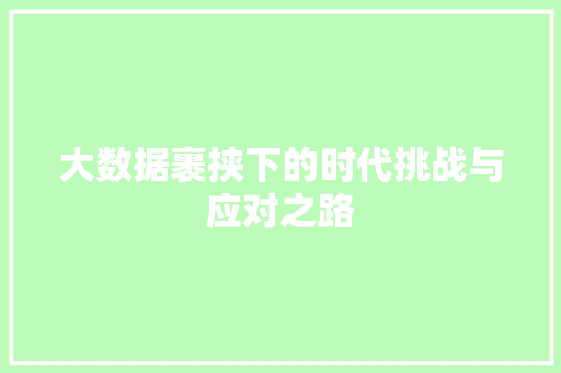 大数据裹挟下的时代挑战与应对之路