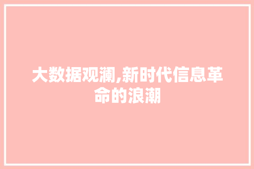 大数据观澜,新时代信息革命的浪潮