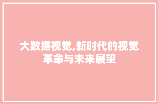 大数据视觉,新时代的视觉革命与未来展望