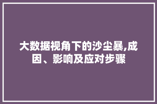 大数据视角下的沙尘暴,成因、影响及应对步骤